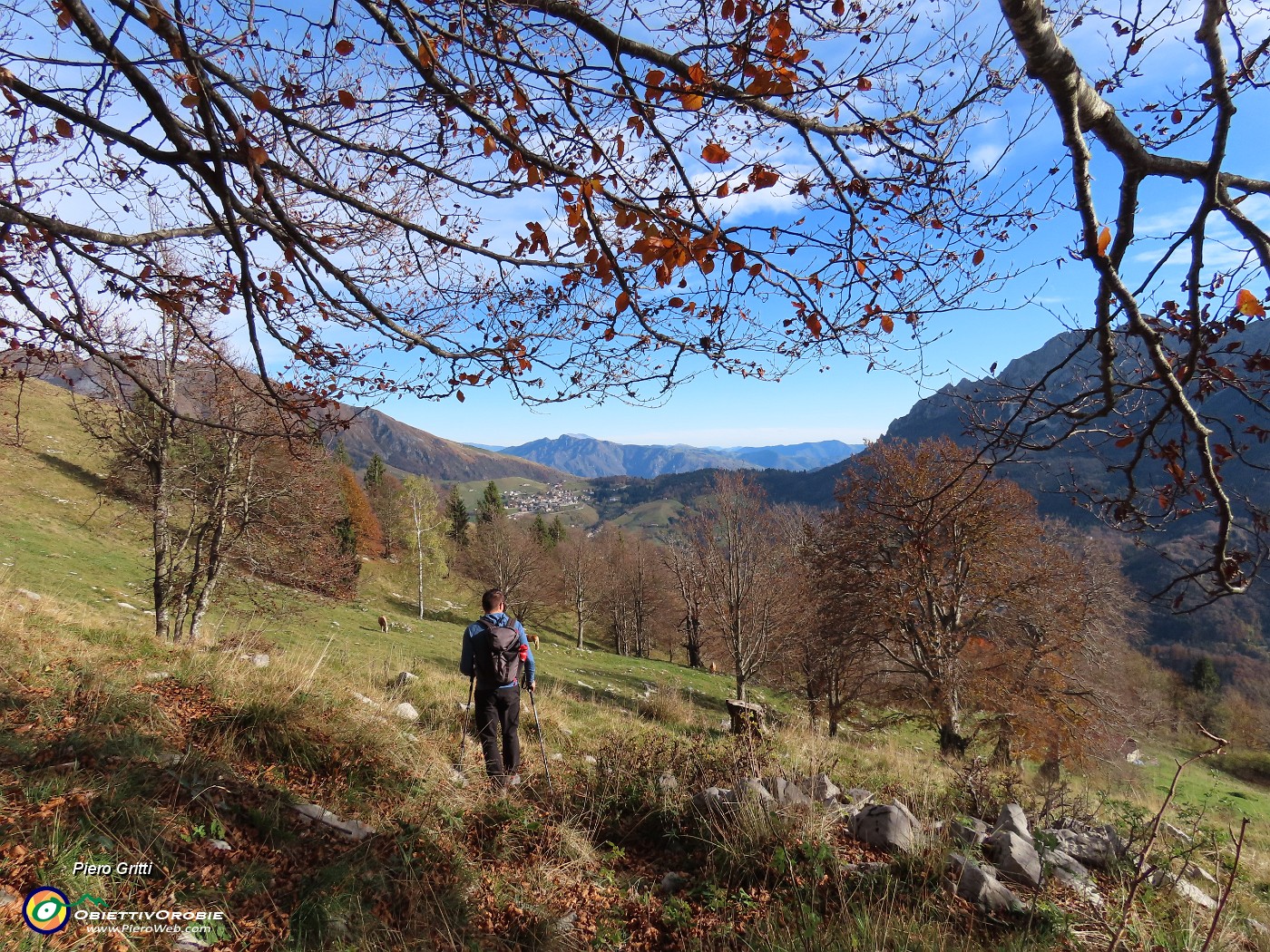 40 Siamo nei pascoli aperti con cavalli al pascolo.JPG